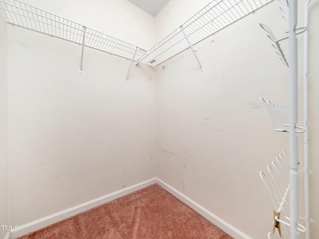 5148 Wallingford Dr, Raleigh, NC 27616 - walk in closet with carpet