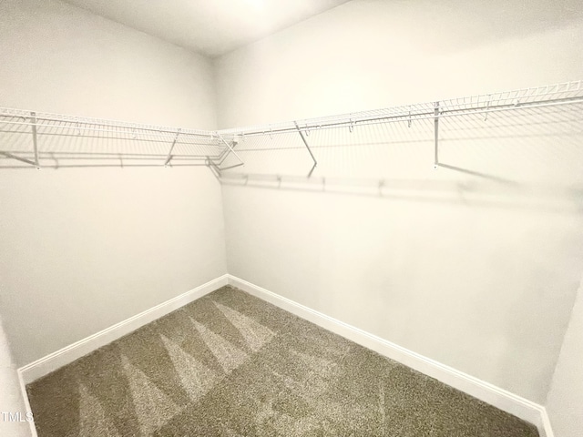 spacious closet with carpet floors