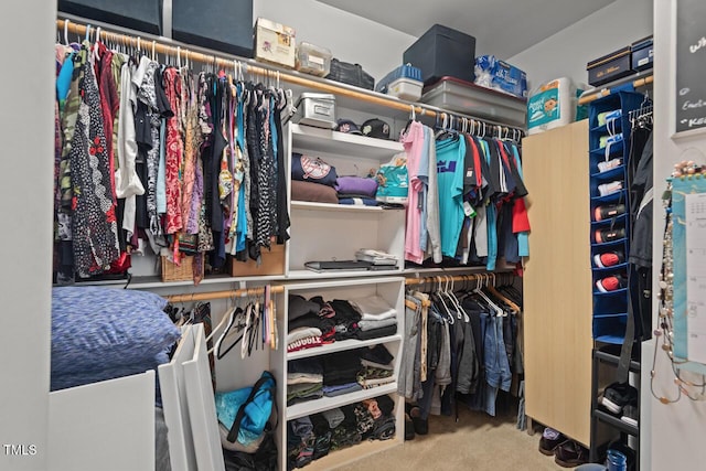 997 Windy Rd, Apex, NC 27502 - walk in closet featuring carpet floors