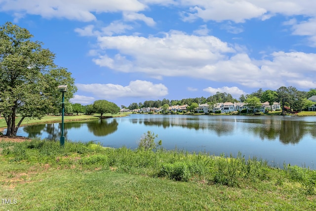 129 Trellingwood Dr, Morrisville, NC 27560 - water view