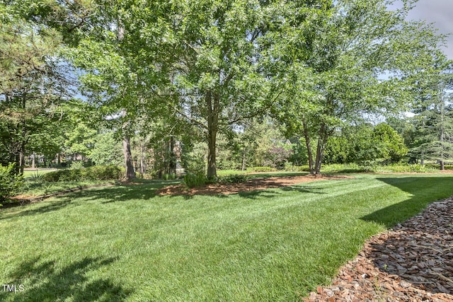 129 Trellingwood Dr, Morrisville, NC 27560 - view of green lawn
