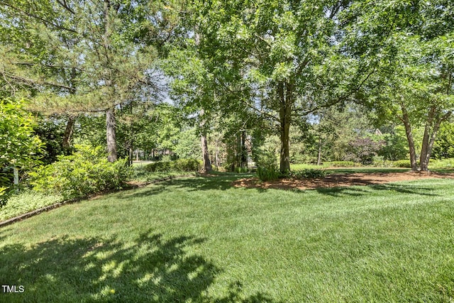129 Trellingwood Dr, Morrisville, NC 27560 - view of grassy yard