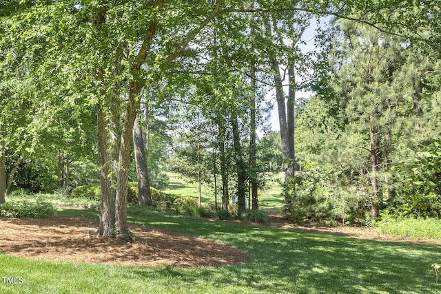 129 Trellingwood Dr, Morrisville, NC 27560 - view of undeveloped land
