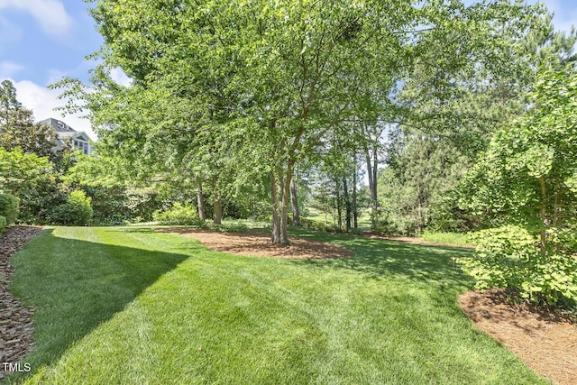 129 Trellingwood Dr, Morrisville, NC 27560 - view of grassy yard