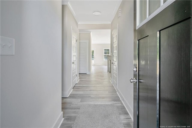 4915 High Branch Ct, Stedman, NC 28391 - hallway with crown molding and wood finished floors