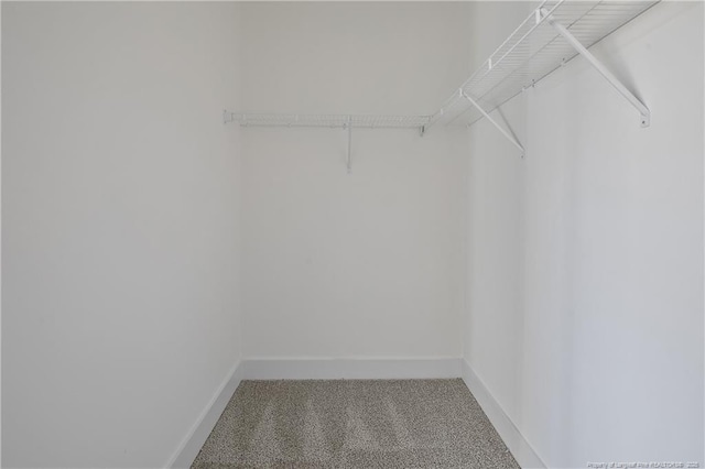 4915 High Branch Ct, Stedman, NC 28391 - walk in closet with carpet floors