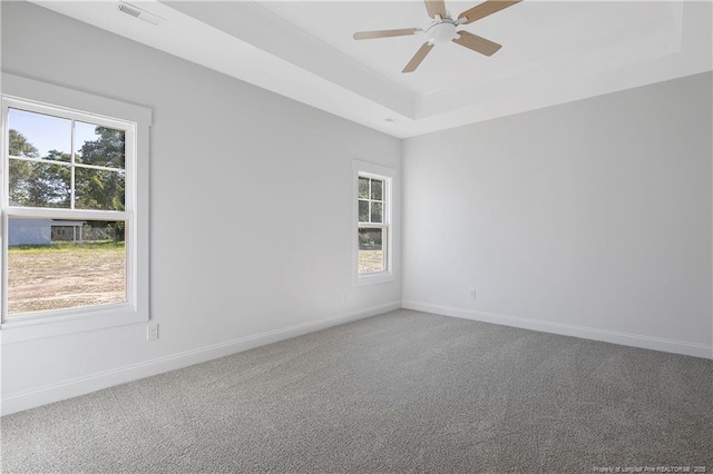 4905 High Branch Ct, Stedman, NC 28391 - spare room featuring plenty of natural light, carpet floors, a ceiling fan, and a raised ceiling