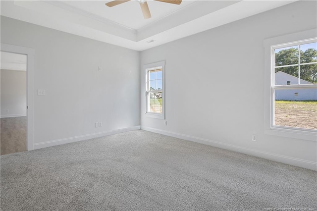 4905 High Branch Ct, Stedman, NC 28391 - spare room with carpet, ceiling fan, and a tray ceiling