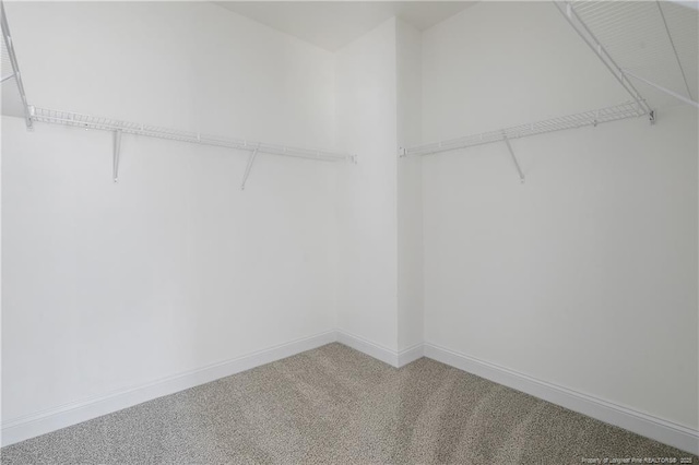 4905 High Branch Ct, Stedman, NC 28391 - spacious closet with carpet floors