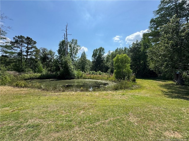 802 Bladen Cir, Fayetteville, NC 28312 - photo 38