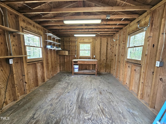 miscellaneous room featuring a wealth of natural light