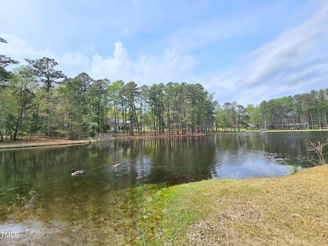 water view