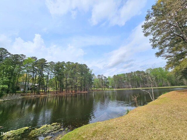view of water feature
