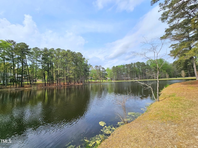 view of water feature