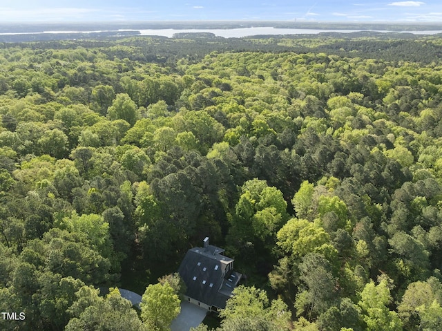 drone / aerial view of a forest