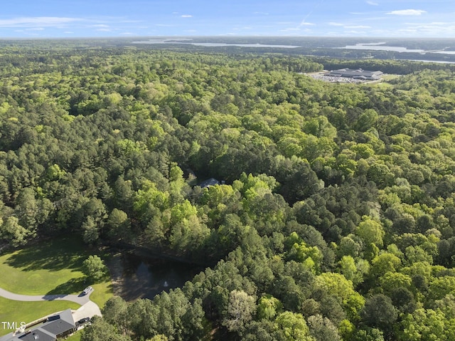 aerial view of a forest
