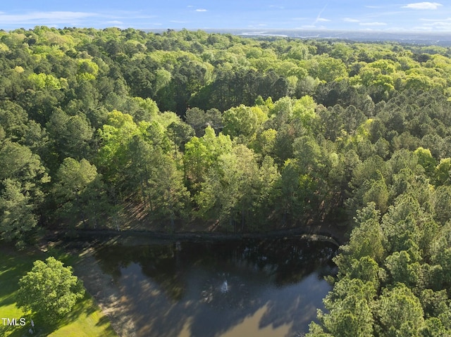 aerial overview of property's location with a forest and a nearby body of water