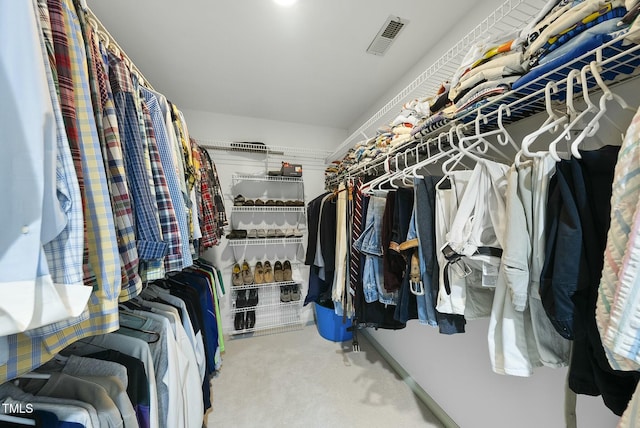 spacious closet with carpet flooring