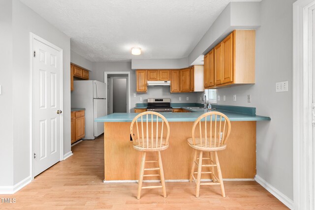 kitchen featuring stainless steel range with electric stovetop, a sink, light wood finished floors, freestanding refrigerator, and a peninsula