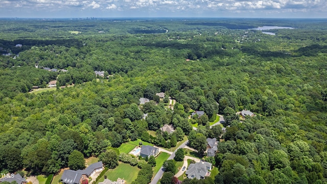 2904 Ivory Bluff Trl, Apex, NC 27539 - photo 40