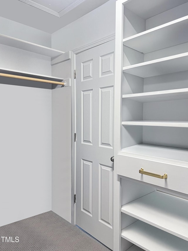walk in closet featuring carpet