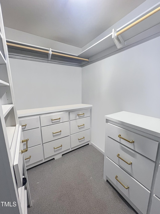 spacious closet with dark carpet