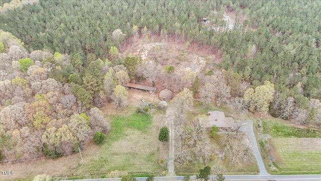 4018 Moon Lindley Rd, Snow Camp, NC 27349 - photo 39