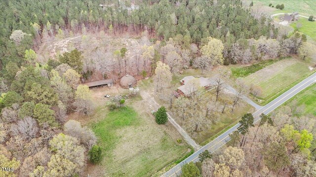 4018 Moon Lindley Rd, Snow Camp, NC 27349 - photo 43