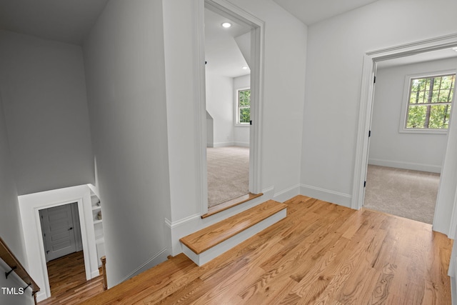 1212 Perry Bluff Dr, Wake Forest, NC 27587 - photo 29