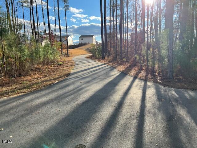 825 Kenyon Spring Dr, Zebulon, NC 27597 - view of road