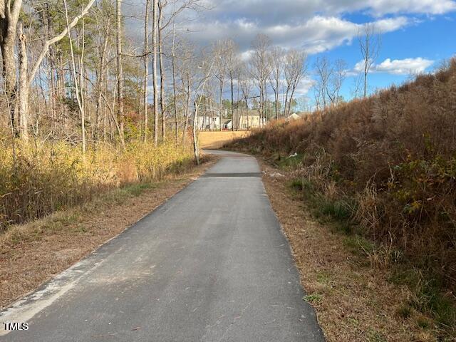 825 Kenyon Spring Dr, Zebulon, NC 27597 - view of road