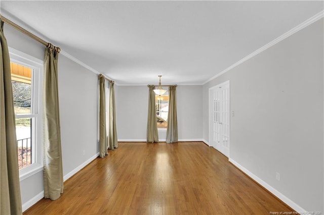 spare room with ornamental molding, wood finished floors, and plenty of natural light
