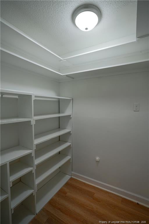 view of pantry