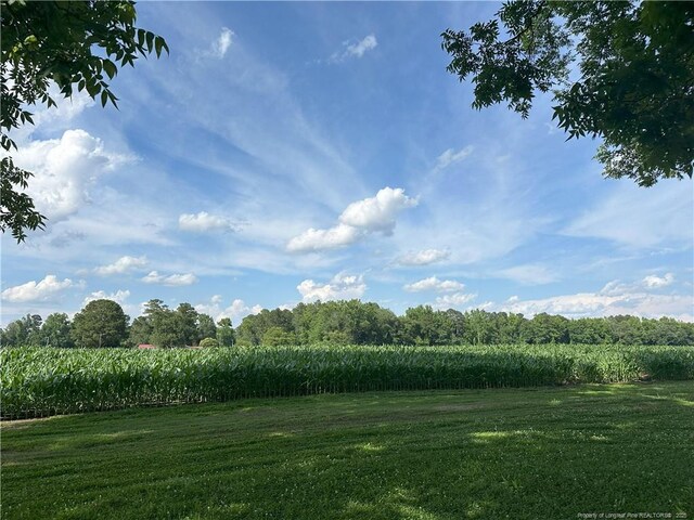 LotA Pleasant Hope Road, Lumberton, NC 28340
