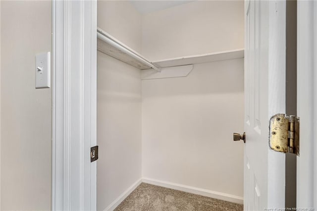 6611 Brannan Way, Fayetteville, NC 28314 - spacious closet with carpet floors