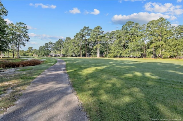891 Long Iron Dr, Fayetteville, NC 28312 - photo 49