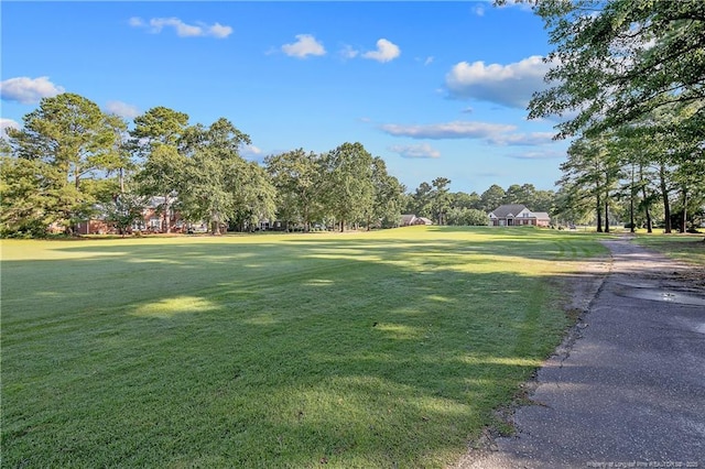 891 Long Iron Dr, Fayetteville, NC 28312 - photo 50