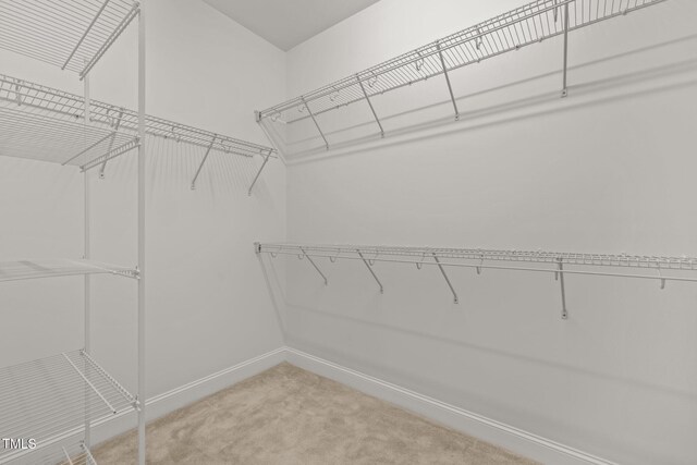 walk in closet with light colored carpet