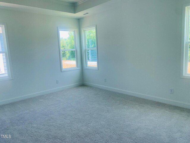 28 Carteret Ct, Clayton, NC 27527 - photo 16