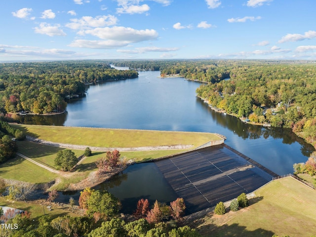 birds eye view of property featuring a forest view and a water view