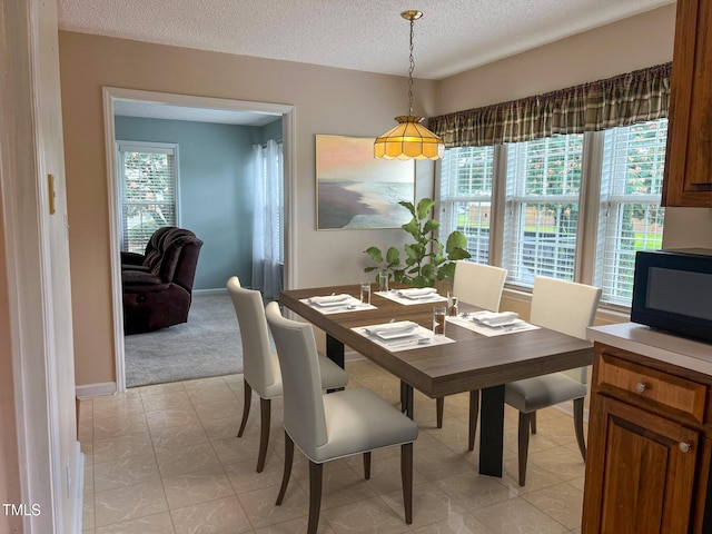 1020 Retriever Ln, Raleigh, NC 27603 - dining area with a textured ceiling and light carpet