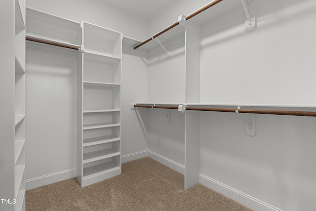 4924 Zebulon Rd, Zebulon, NC 27597 - walk in closet with carpet floors