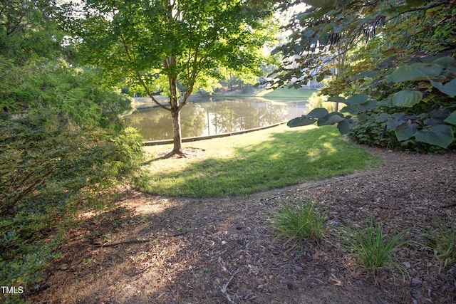 101 Painted Rock Ct, Garner, NC 27529 - photo 11