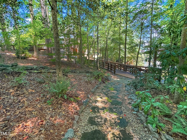 101 Painted Rock Ct, Garner, NC 27529 - photo 49