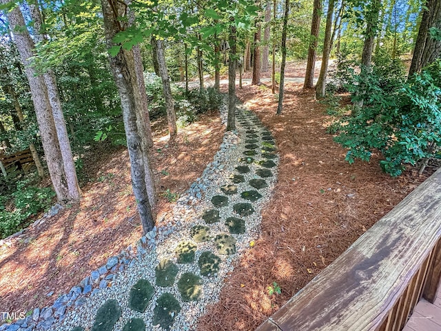 101 Painted Rock Ct, Garner, NC 27529 - photo 51