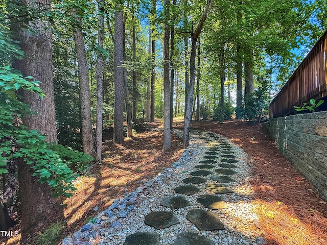 101 Painted Rock Ct, Garner, NC 27529 - photo 52