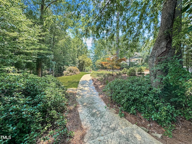 101 Painted Rock Ct, Garner, NC 27529 - photo 56