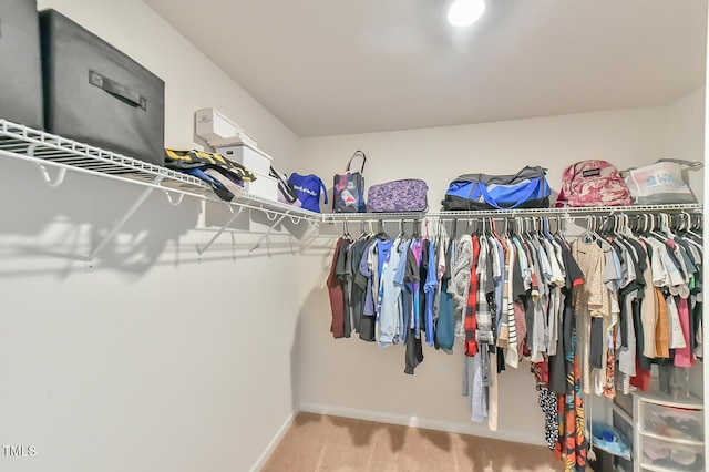 2065 Alderman Way, Creedmoor, NC 27522 - spacious closet with carpet flooring