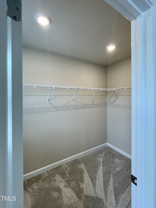 413 Diversity Way, Raleigh, NC 27610 - spacious closet with carpet flooring
