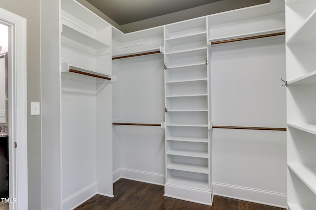 721 Shelley Rd, Raleigh, NC 27609 - walk in closet featuring dark wood-style flooring